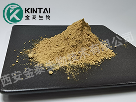 萬(wàn)壽菊提取物